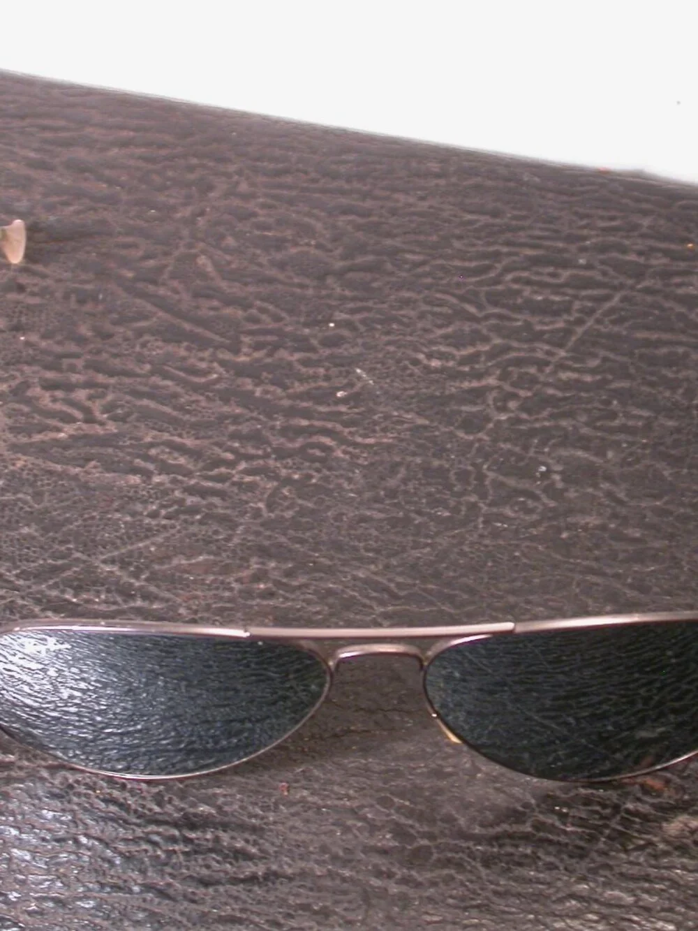 Ray-Ban up auction